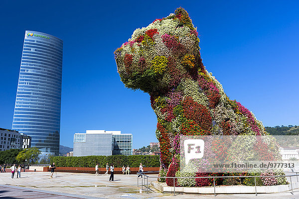 Europa Blume Hund Kunst Museum Bilbao Welpe Spanien Baskenland