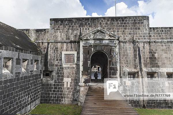 Zitronenfalter Gonepteryx rhamni Eingang Hügel Festung Karibik Westindische Inseln Mittelamerika UNESCO-Welterbe Schwefel Innenhof Hof