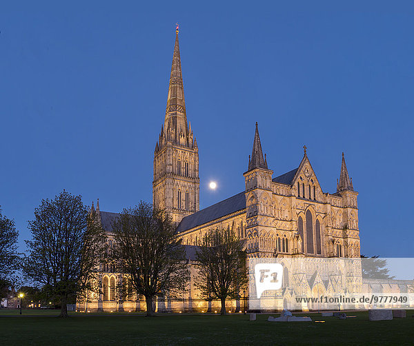 Europa Großbritannien England Salisbury Salisbury Cathedral Wiltshire