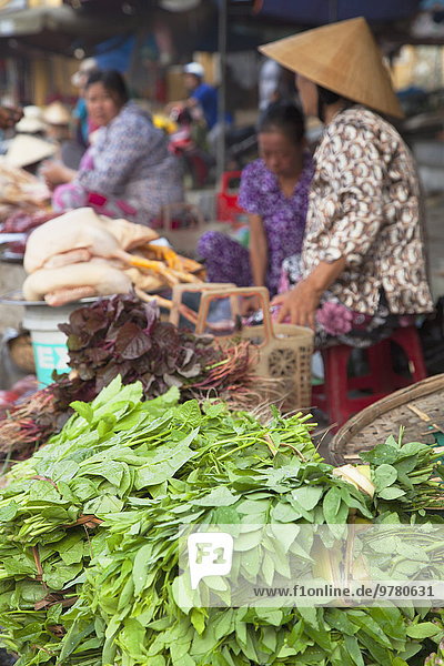 Frau Gemüse verkaufen Südostasien Vietnam Asien Hoi An Markt