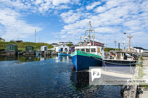 Fishing boats in the harbour of Port au Choix  Newfoundland  Canada  North America