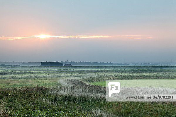 Europa Sonnenuntergang Großbritannien Sumpf England Suffolk