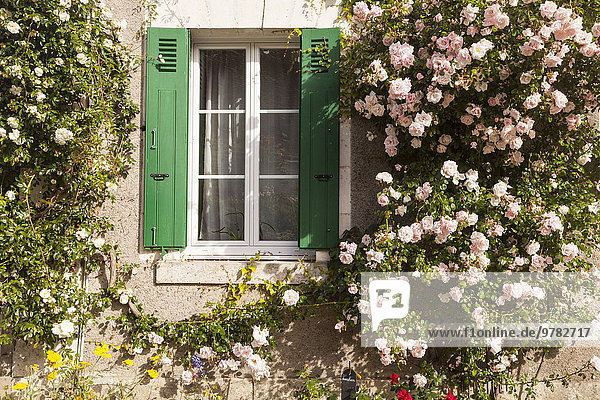 Frankreich Europa Wohnhaus Dorf Rose