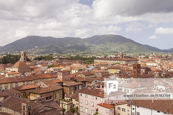 The rooftops of the historic centre of Lucca  Tuscany  Italy  Europe