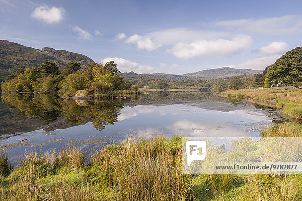 The still water of Rydal Water in the Lake District National Park  Cumbria  England  United Kingdom  Europe