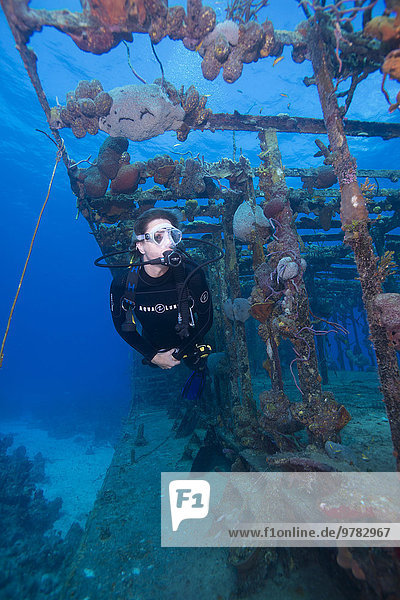 Wreck diving on the Hamel Wreck in the Bahamas  West Indies  Central America