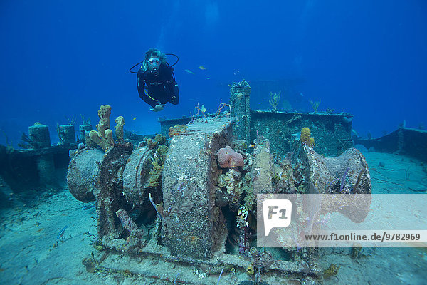 Wreck diving on the Hamel Wreck in Bahamas  West Indies  Central America