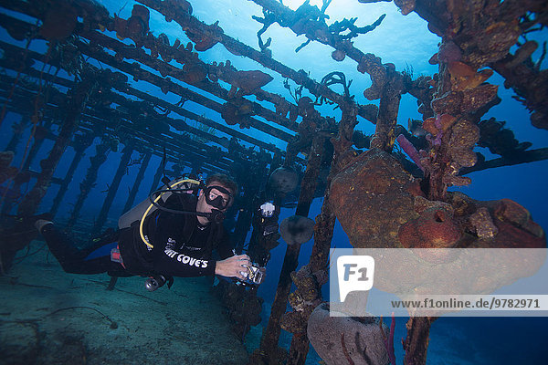 Wreck diving on the James Bond bomber wreck in Bahamas  West Indies  Central America