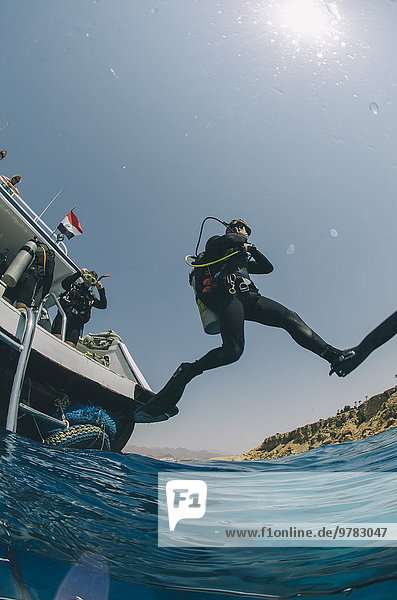 Scuba diver making giant stride entry into the water  Red Sea  Egypt  North Africa  Africa