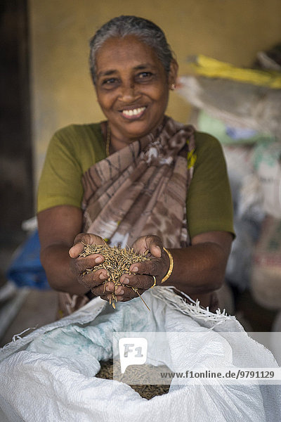 Frau hält Pokkali-Reis in den Händen  Ernakulam-Distrikt  Kerala  Indien  Asien