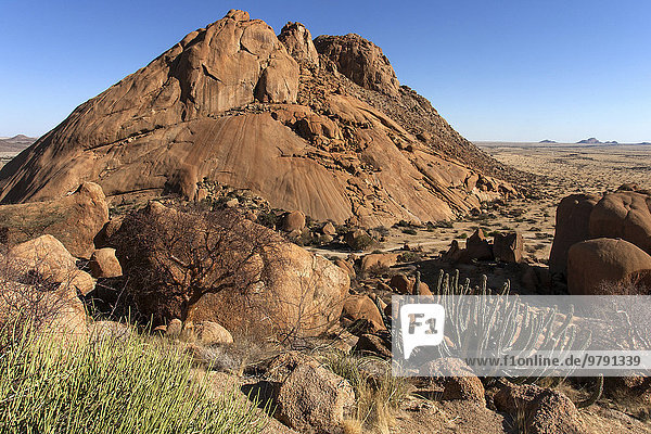 Ausblick von der Großen Spitzkoppe mit typischer Vegetation an der Spitzkoppe  Damaraland  Namibia  Afrika