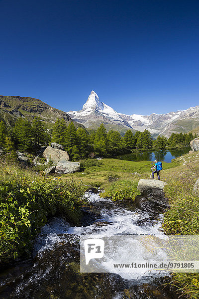 Man hiking at Grindjisee lake  the Matterhorn at the back  Zermatt  Canton of Valais  Switzerland  Europe