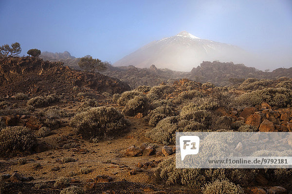 Morgennebel am Pico del Teide  Teide-Nationalpark  Teneriffa  Kanarische Inseln  Spanien  Europa