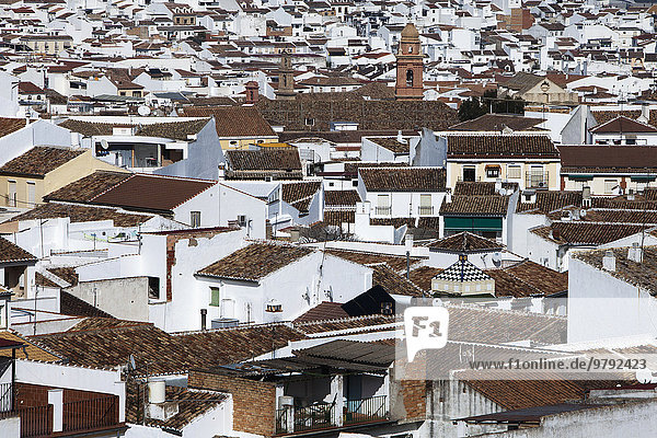 Ausblick über Altstadt  Antequera  Andalusien  Spanien  Europa