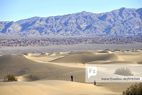 Sand dunes in Death Valley  Nevada  United States  North America