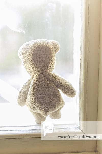Teddybär auf Fensterbank