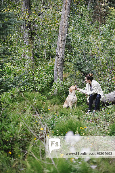 A woman seated on a log patting her retriever dog.