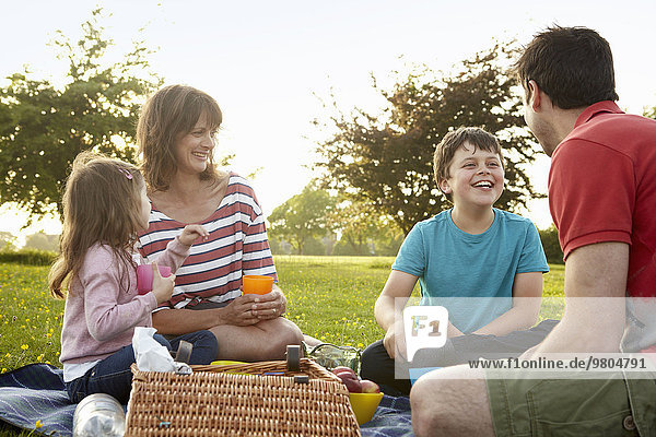 Außenaufnahme Sommer Picknick Menschliche Eltern 2 freie Natur