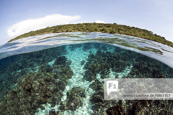 Splitfoto  Unterwasserwelt und Insel Menjangan  Bali  Indonesien  Asien