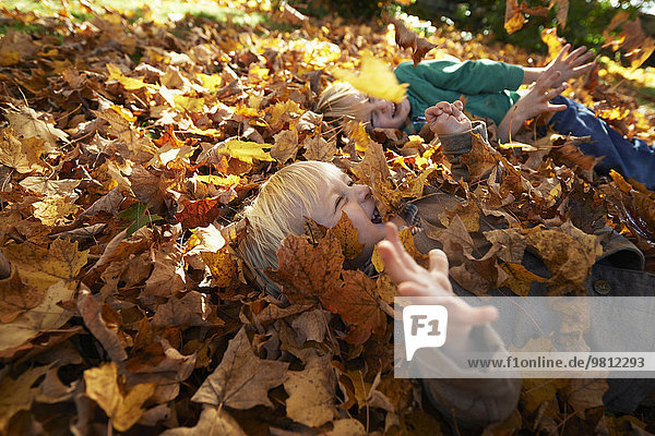 Two boys playing in pile of leaves