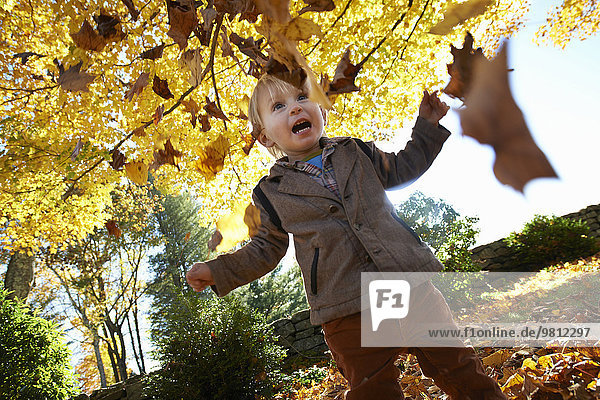Boy playing in leaves in forest
