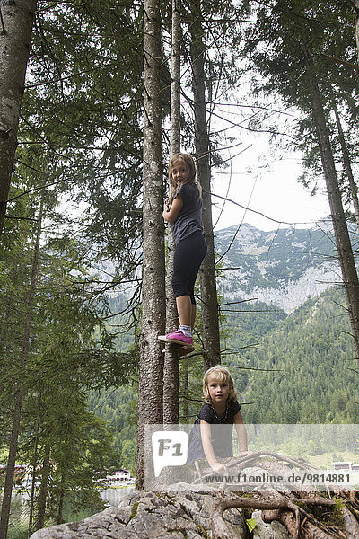 Schwestern beim Baumklettern im Wald  Hintersee  Zauberwald  Bayern  Deutschland