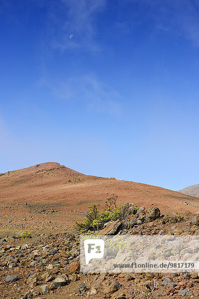 USA  Hawaii  Maui  Haleakala  Vulkankrater mit karger Vegetation
