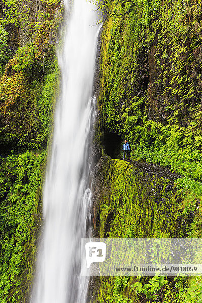 USA,  Oregon,  Hood River County,  Columbia River Gorge,  Eagle Creek Trail,  Weibliche Touristen an den Tunnel Falls