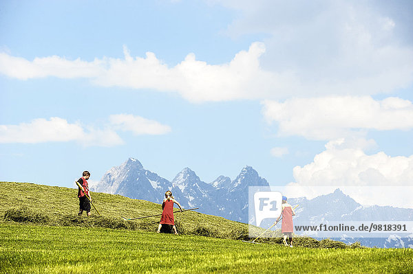 Austria  Flachau  three children at hay harvest