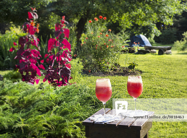Estland  zwei Cocktailgläser auf Beistelltisch im Garten stehend