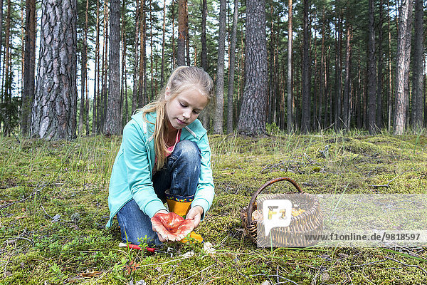 Estland  Mädchen beim Pilzsammeln im Wald