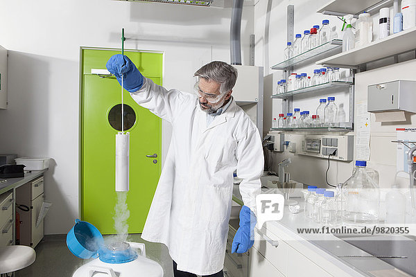 Wissenschaftler bei der Untersuchung von Laborproben in Stickstoff