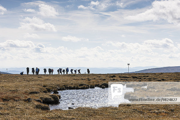 Mensch Menschen Silhouette wandern