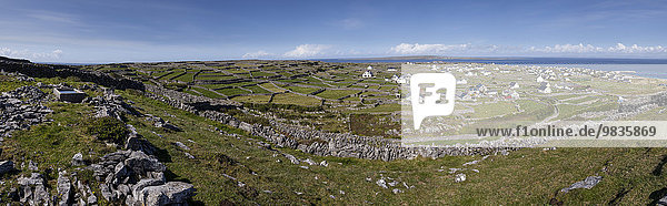 Dorf auf den Aran Inseln mit Steinmauern  Inis Oirr  Aran Inseln  Irland  Europa