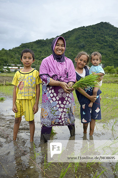 Reisbäuerin  34 Jahre  mit ihren drei Kindern pflanzt Setzlinge  Dorf Lam Teungo  Subdistrict Rozma  Aceh  Indonesien  Asien