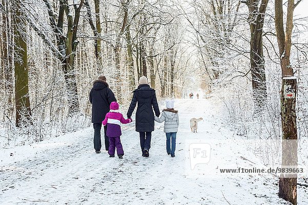 Family with children and a dog having a walk in a forest  Mazovia  Poland