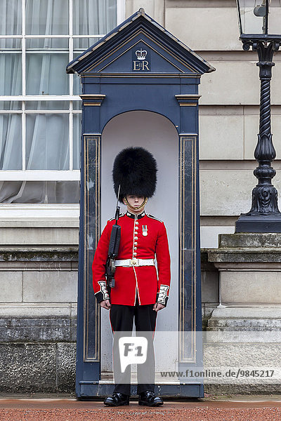 Wachmann der königlichen Garde mit Bärenfellmütze vor dem Buckingham Palace  London  England  Großbritannien  Europa