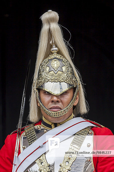 Wachmann der Horse Guards  London  England  Großbritannien  Europa