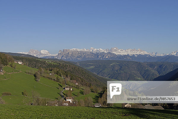 Dolomitenblick vom Salten  bei Flaas  Südtirol  Italien  Europa