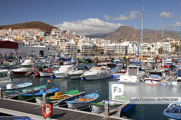 Marina und Hafen  Los Cristianos  Teneriffa  Kanarische Inseln  Spanien  Europa