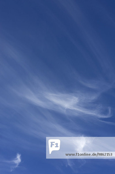 Federwolken oder Cirrus-Wolken am blauen Himmel