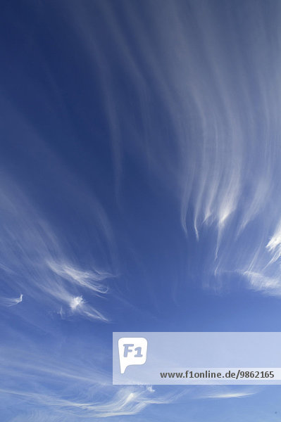 Federwolken  Cirrus  am blauen Himmel