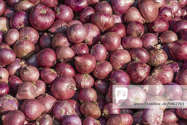 Onions  Kerala  India  Asia