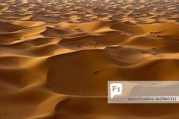 Wüste Afrika Merzouga Marokko