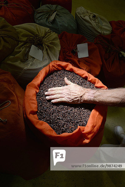 Kaffeebohne französisch Tasche Boden Fußboden Fußböden Schokolade Kakao heiße Schokolade Trinkschokolade Bohne Fertigungsanlage Produktionsanlage gebraten