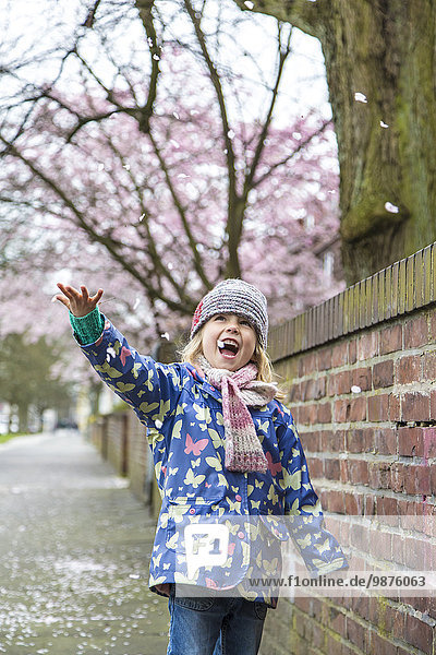 Mädchen freut sich über Kirschblüten  Kiel  Schleswig-Holstein  Deutschland  Europa