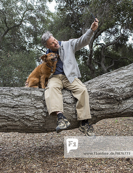 Caucasian man taking cell phone photograph with dog on tree in park