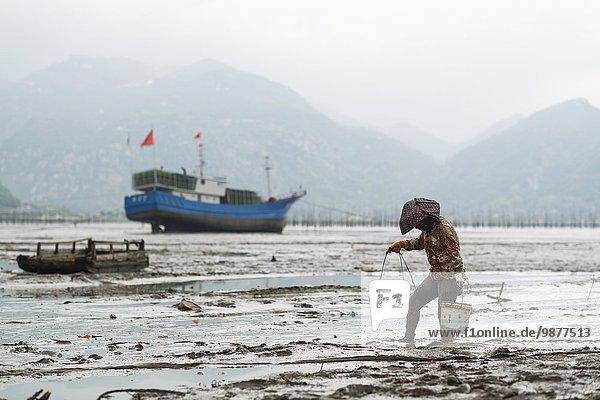anprobieren Frau gehen Speisefisch und Meeresfrucht Entdeckung Fujian Schlamm