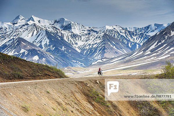 A Woman bicycle touring in Denali National Park  Grassy Pass  Southcentral Alaska