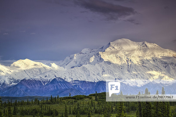 Nationalpark Landschaftlich schön landschaftlich reizvoll Sommer Abend Ansicht Denali Nationalpark Mount McKinley
